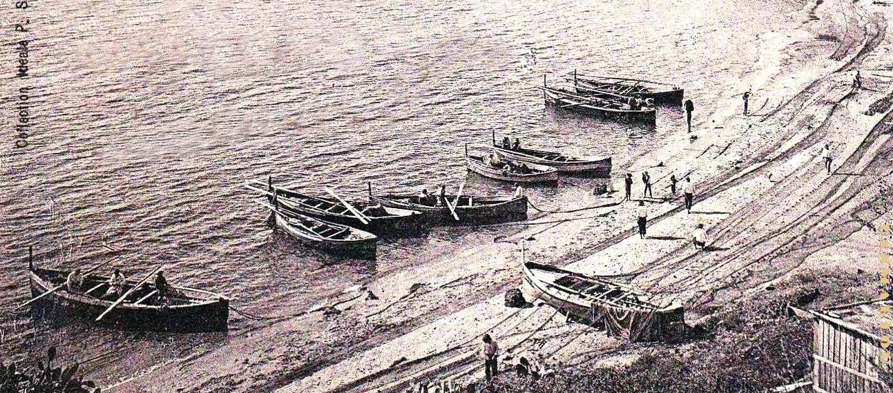 2988- Bone - Plage de Saint-Cloud2 - 1903.jpg